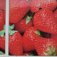 ポスターですが