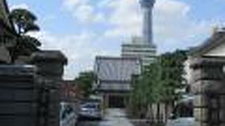 庫裡の門柱と石塀は古そうでした