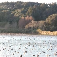 八万石見晴し台に沈む夕陽で刻々と変化する夏目の堰の水面