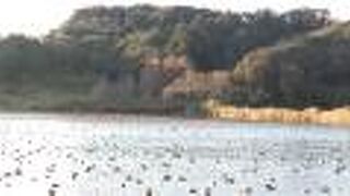 「八万石見晴し台」と「夏目の堰」がお薦めビューポイント