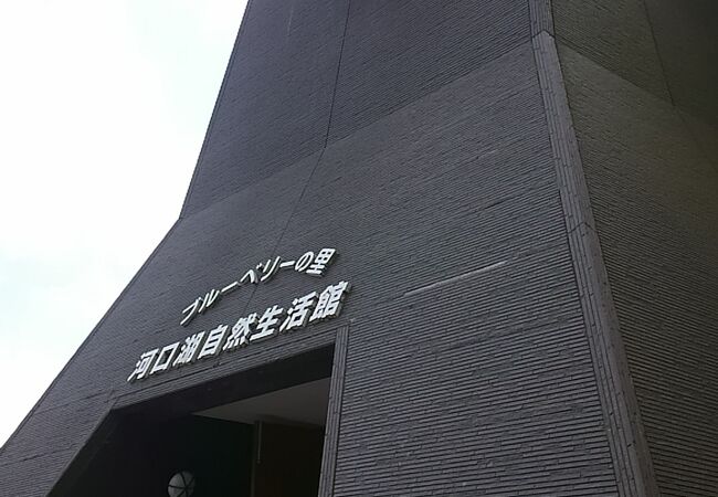 河口湖自然生活館 クチコミ アクセス 営業時間 富士五湖 フォートラベル