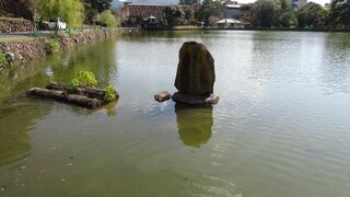 池畔から興福寺五重塔を望むことができます