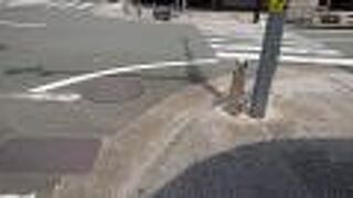 ランチタイムに該当する時間帯で賑わっていました