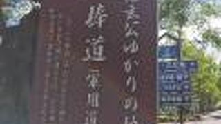 信玄棒道