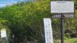 横谷観音展望台から王滝 