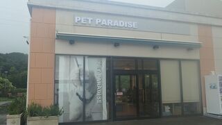 ペット専門店「PET PARADISE」があります