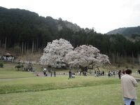 淡墨公園