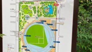 横浜の大きな公園