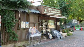 絵葉書が豊富でした