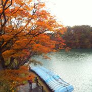 紅葉真っ盛りの『五色沼自然探勝路』!!