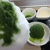 夏季限定のかき氷