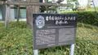 東京国税局前の植え込みに案内板があります