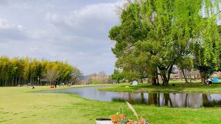 自然豊かな公園。　地元の人の癒しのスポット。