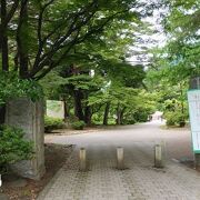 木々が豊富にある駅近くの公園