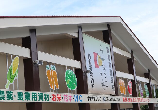 伊東温泉のおすすめショッピング お買い物スポット クチコミ人気ランキングtop9 フォートラベル 静岡県
