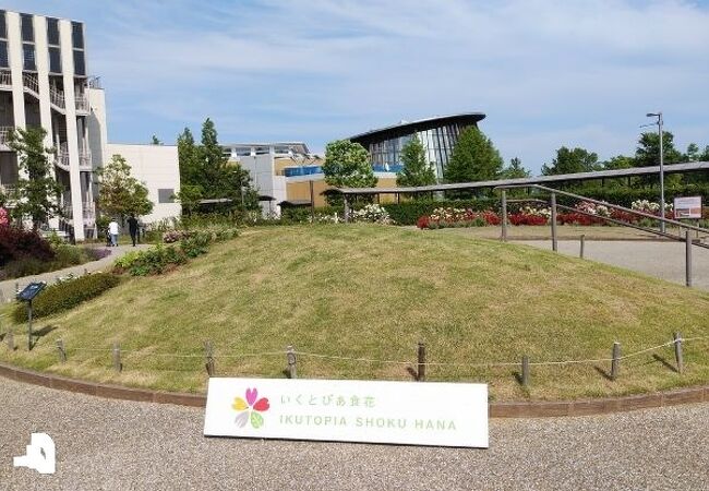 新潟県の公園 植物園 クチコミ人気ランキングtop40 フォートラベル 新潟県の公園 植物園 クチコミ人気ランキングtop40 フォートラベル