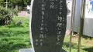 地味な公園です