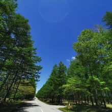 八ヶ岳高原 