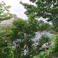 ホテル入口から見える西武遊園地です。