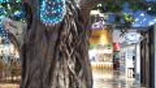 ハワイアンフード＆ファッション