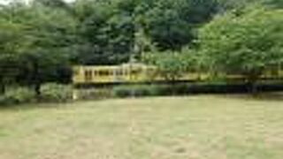 自然が感じられる沿線。西武園競輪の時は混みます。