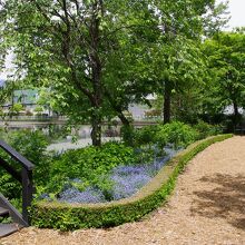 遠くに見える別荘も日本にいることを忘れるほどきれいでした。