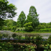 このガーデンの緑の数は、カメラでは表現できない程に感じました