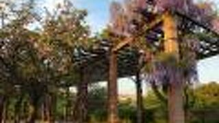 市民の森 フラワーパーク