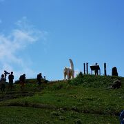 山頂で白馬と味噌汁を楽しむ