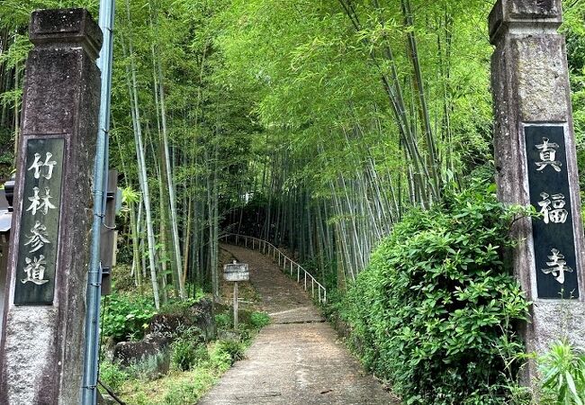 三河国最古寺院は竹林も素晴らしい