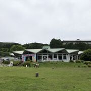 かわいい動物と触れあえる動物園