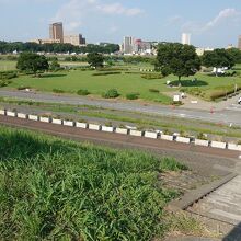 堤防の上から見た小岩菖蒲園