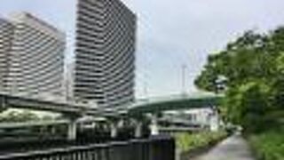 良く整備された遊歩道