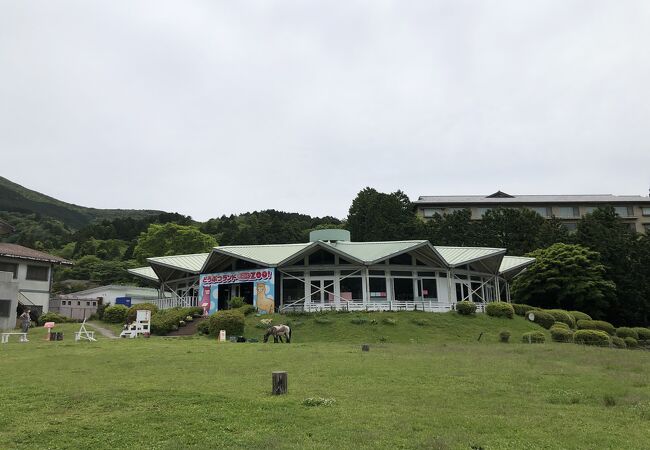 かわいい動物と触れあえる動物園