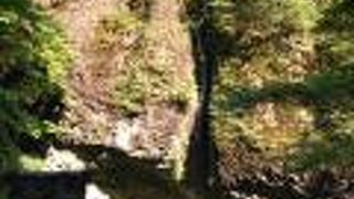 矢立杉の前から、対岸に見られます。