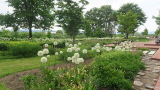 駅前の癒し空間