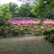 景色の良い公園