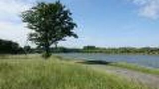 大きな公園なので事前に行く場所を決めておくのが良い