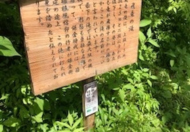 見れるのはほんの一瞬（滝目当ての人が他にいる場合）