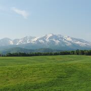 雄大な大雪山を望める場所