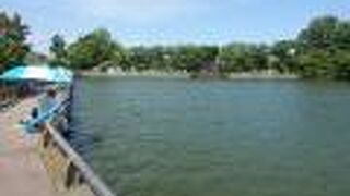 都内とは思えない大きな水辺