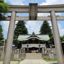 立派な大きさの鳥居です