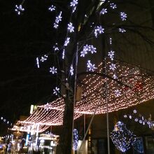 雪の結晶の作品が舞っています