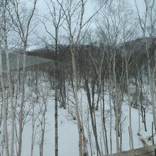 ６合目付近、雪は止んだかな?