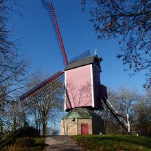 一番北側のWindmill
