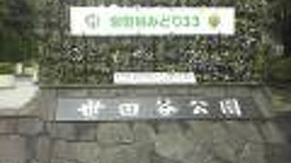 あじさいもきれい