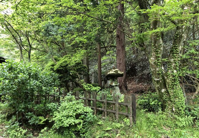 姥子温泉・秀明館の裏手にある