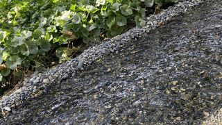 水も綺麗ですてき