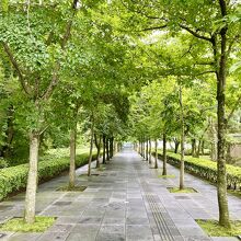 エントラスへの通路は西川勝人「ほおずき・コブシの森」