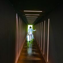 ダニ・カラヴァン「ベレシート（初めに）」